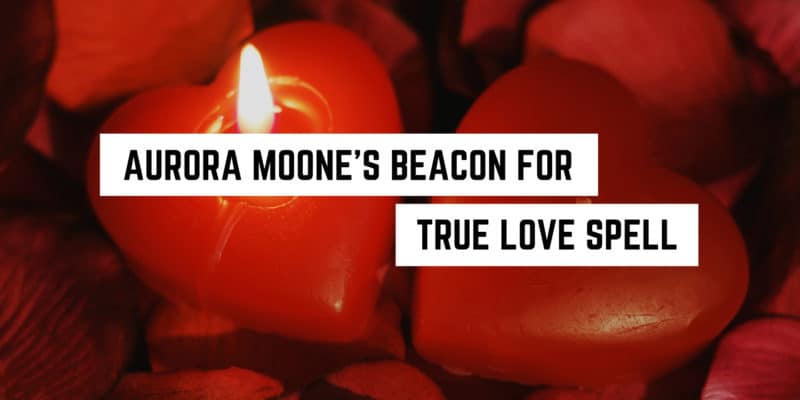 Aurora Moone’s Beacon for True Love Spell 7 A single lit candle amidst a sea of rose petals in a metaphysical shop - a symbol of romance and enchantment.