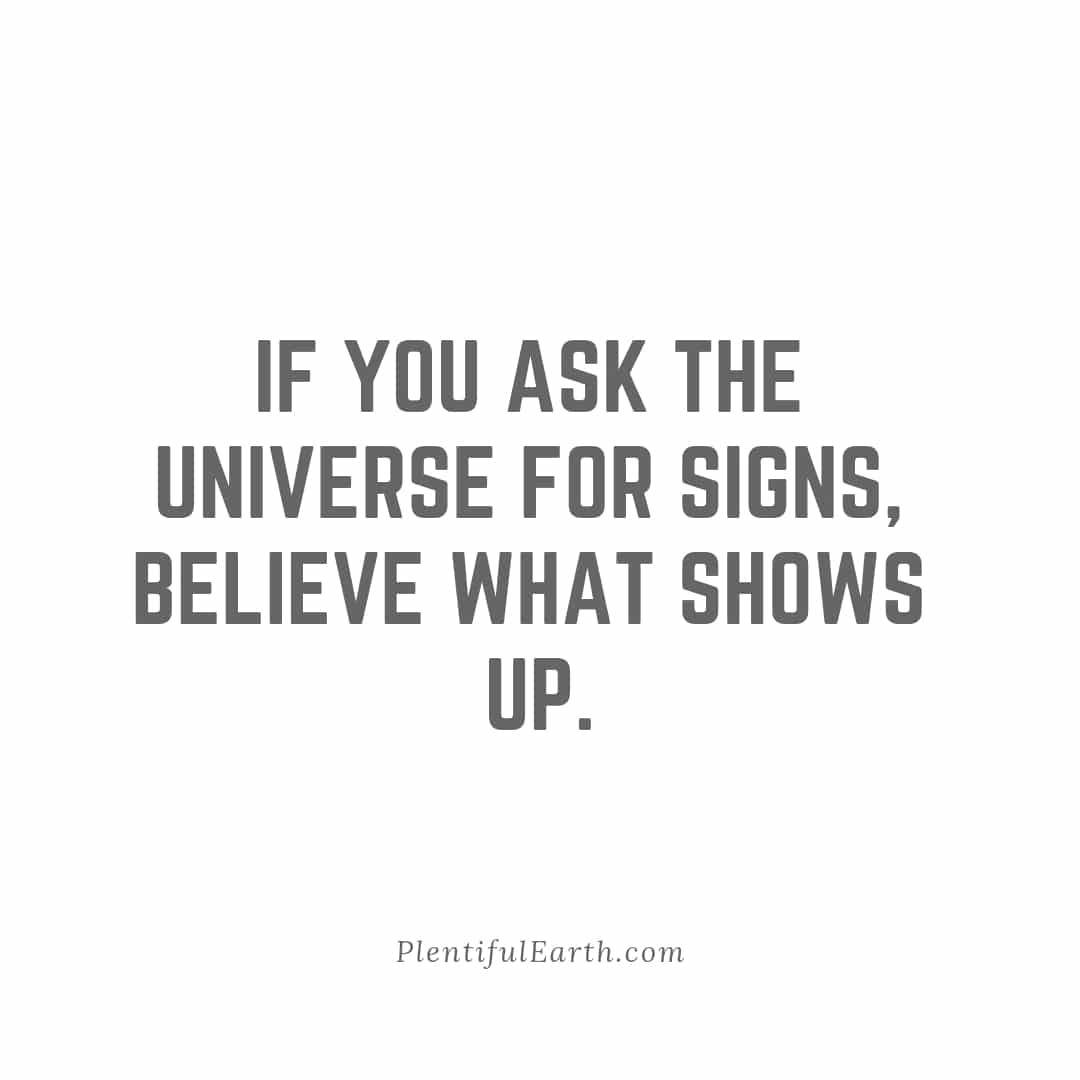 Inspiring witchy quote on a simple background: "if you ask the universe for signs, believe what shows up." - plentifulearth.com.