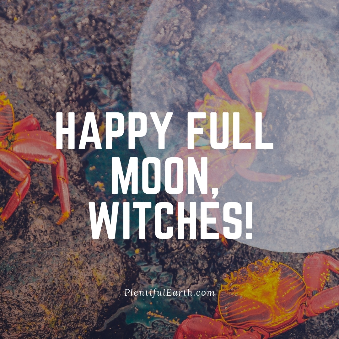 A celebratory image featuring vibrant red crabs amidst rocks with the caption "happy full moon, witches!" from plentifulearth.com explores metaphysical themes.