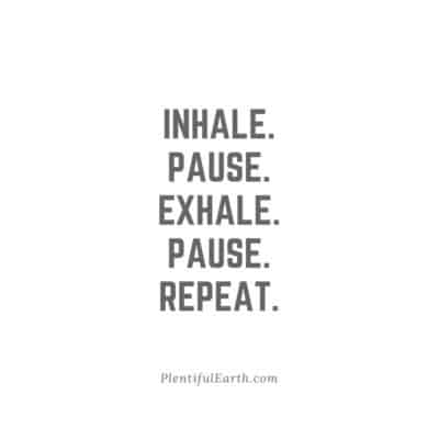 INHALE. PAUSE. EXHALE. PAUSE. REPEAT.
