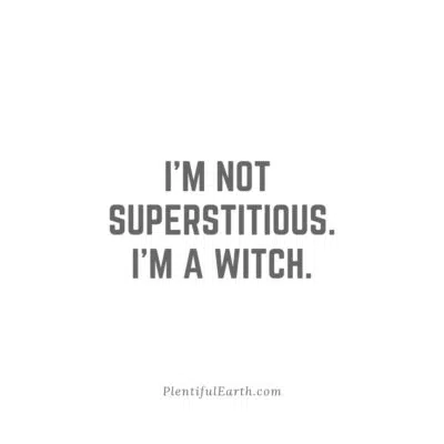 A plain white background with centered black text that reads "I'm not superstitious. I'm a witch." and a source attribution to plentifulearth.com at the bottom, perfect for