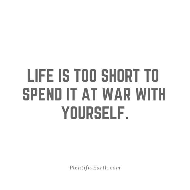 life-is-too-short-to-spend-it-at-war-with-yourself