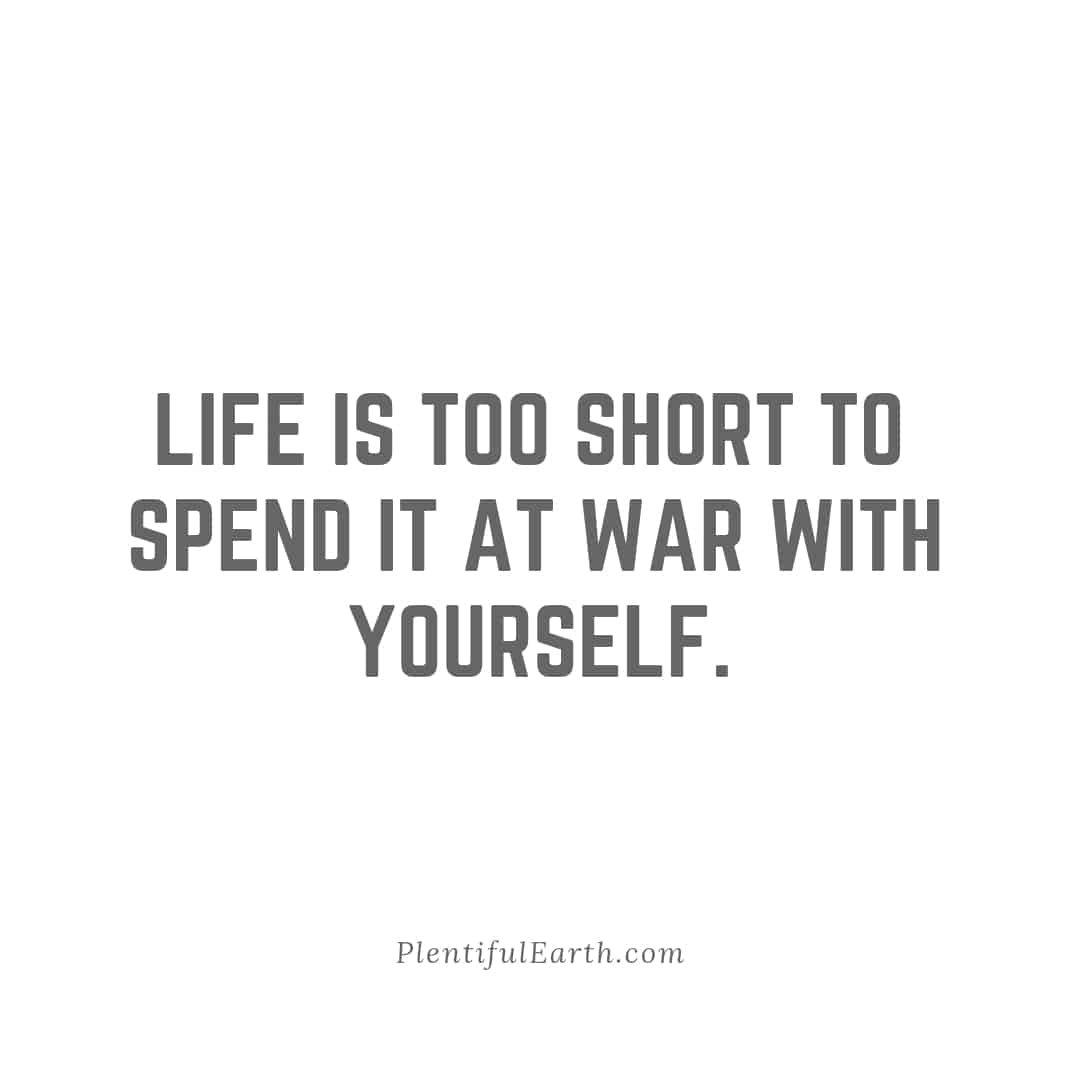 Inspirational quote on a simple white background: "Life is too short to spend it at war with yourself." - A spiritual insight from plentifulearth.com.