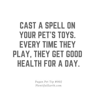 Instagram Witch Tip for Pets: Cast a spell on your pet's toys. Every time they play, they get good health for a day.