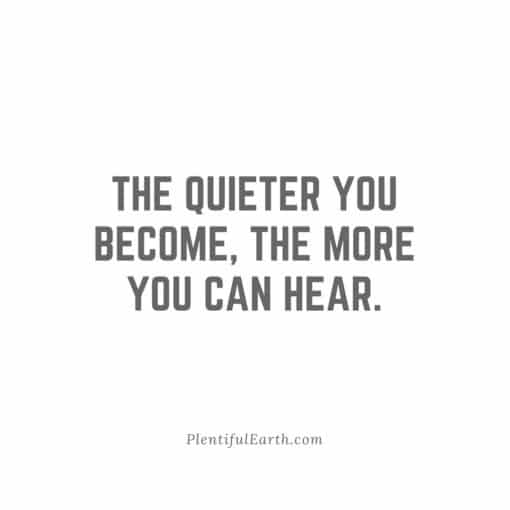 The Quieter You Become, The More You Can Hear