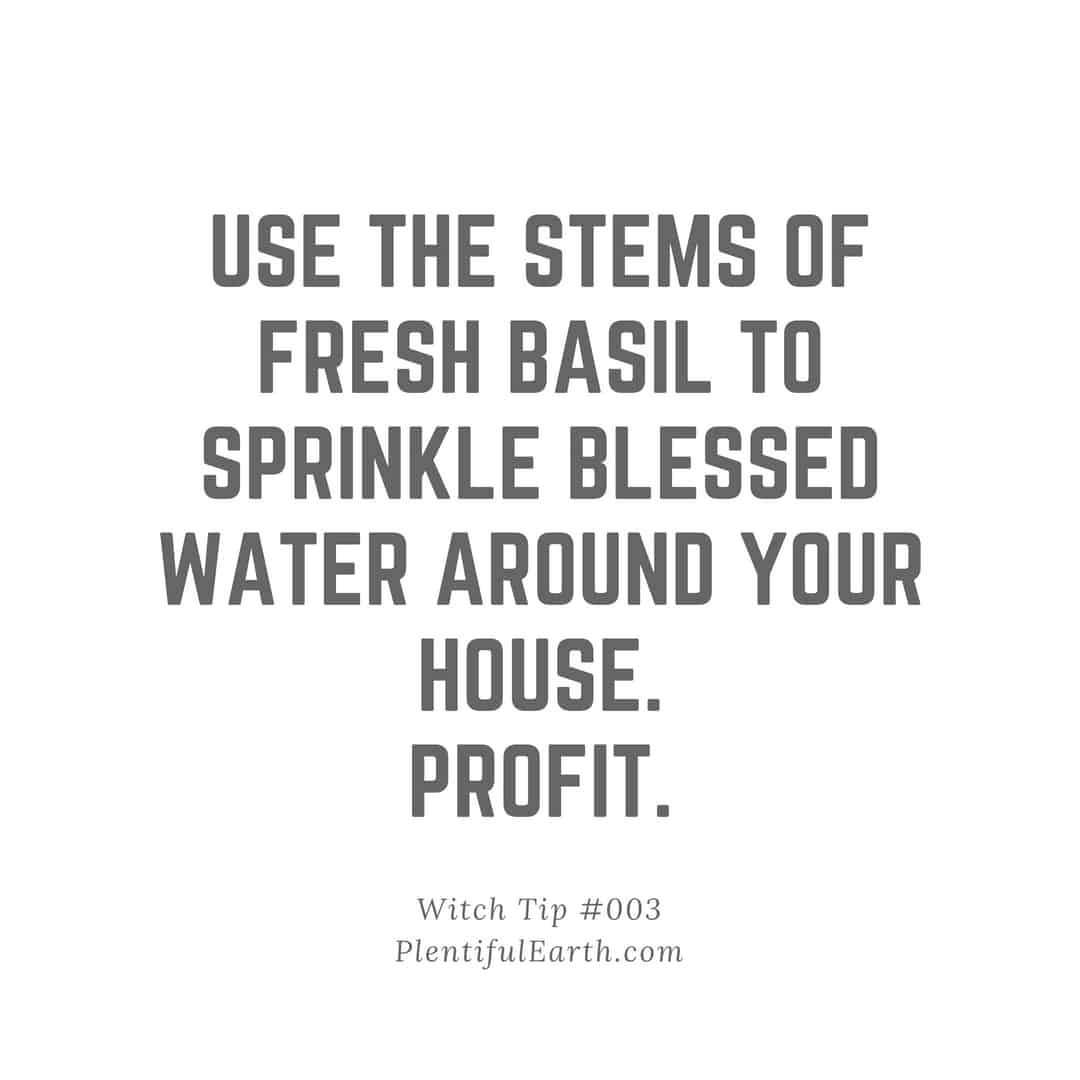 An inspirational tip suggesting a ritual of sprinkling basil stem blessed water for prosperity, displayed elegantly on a minimalist background for clarity and focus, perfect for your metaphysical shop needs.