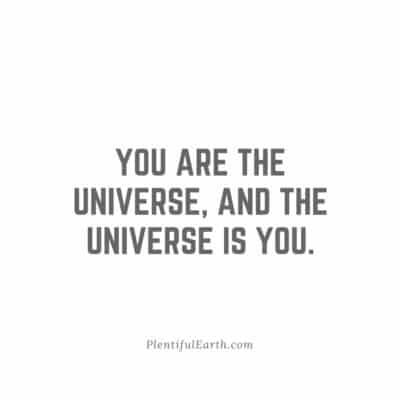 You are the Universe, and the Universe is you.