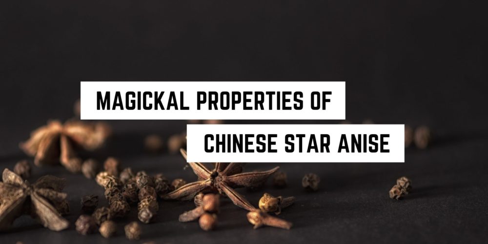 Star Anise Magical Properties & Spiritual Uses