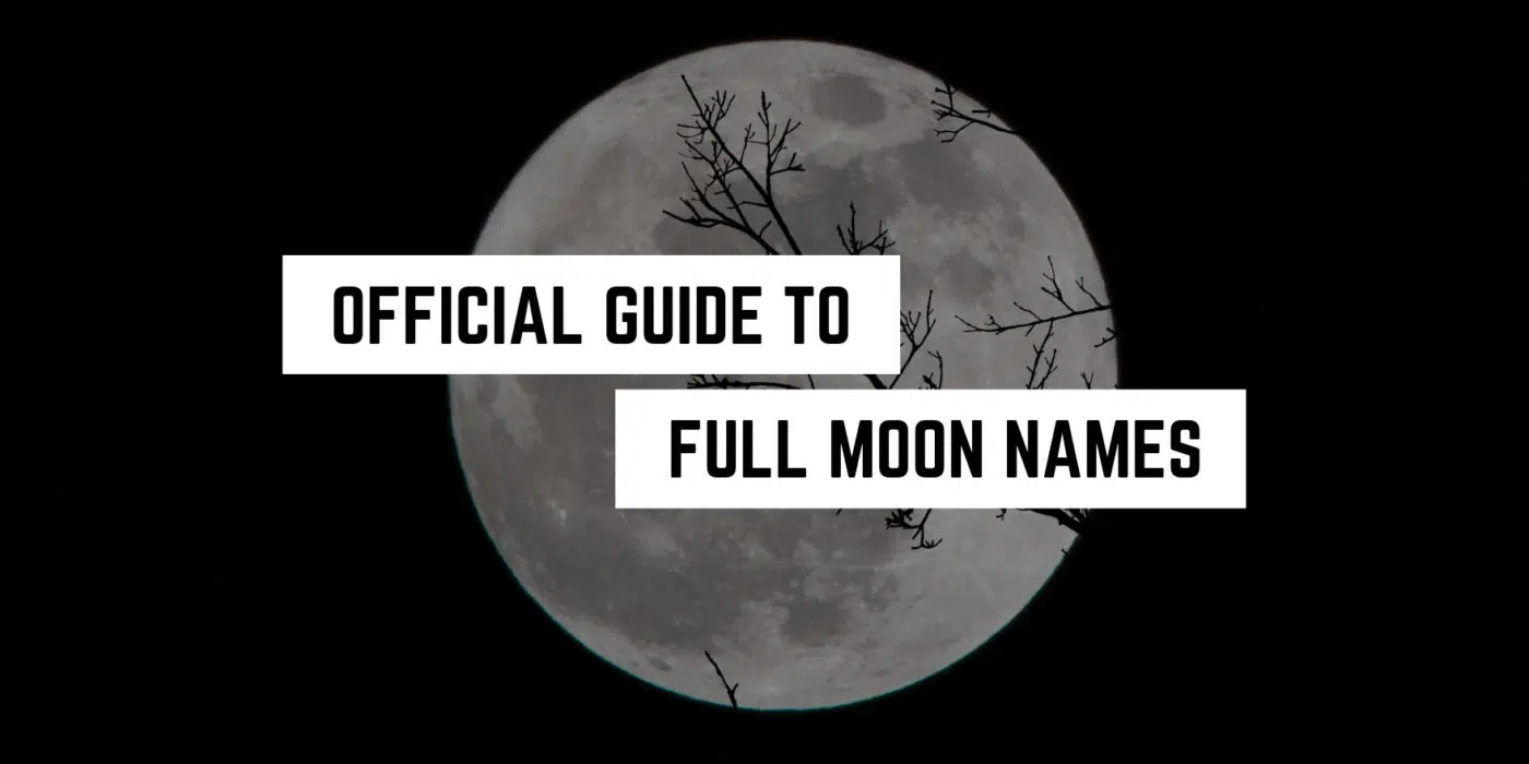 Full Moon Names 1 Silhouetted branches against a luminous full moon: exploring the origins and meanings behind traditional full moon names through a spiritual lens.