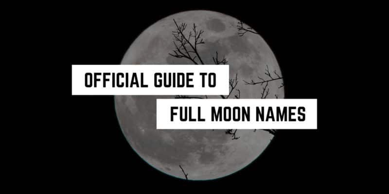 Full Moon Names 3 Silhouetted branches against a luminous full moon: exploring the origins and meanings behind traditional full moon names through a spiritual lens.