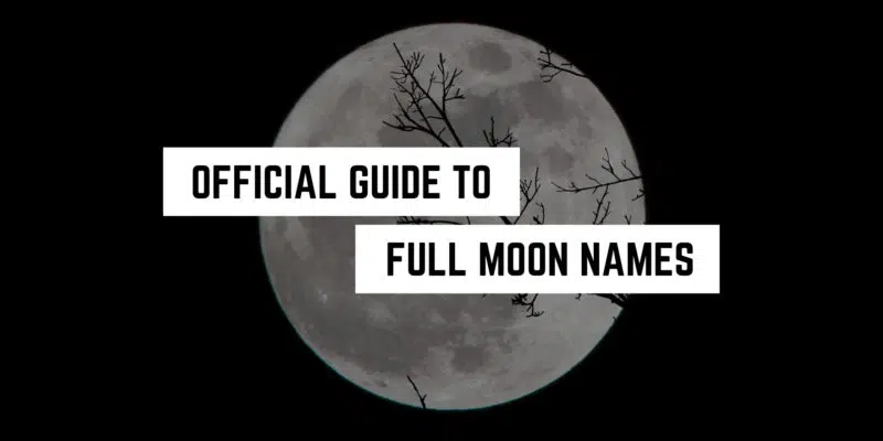 Silhouetted branches against a luminous full moon: exploring the origins and meanings behind traditional full moon names through a spiritual lens.