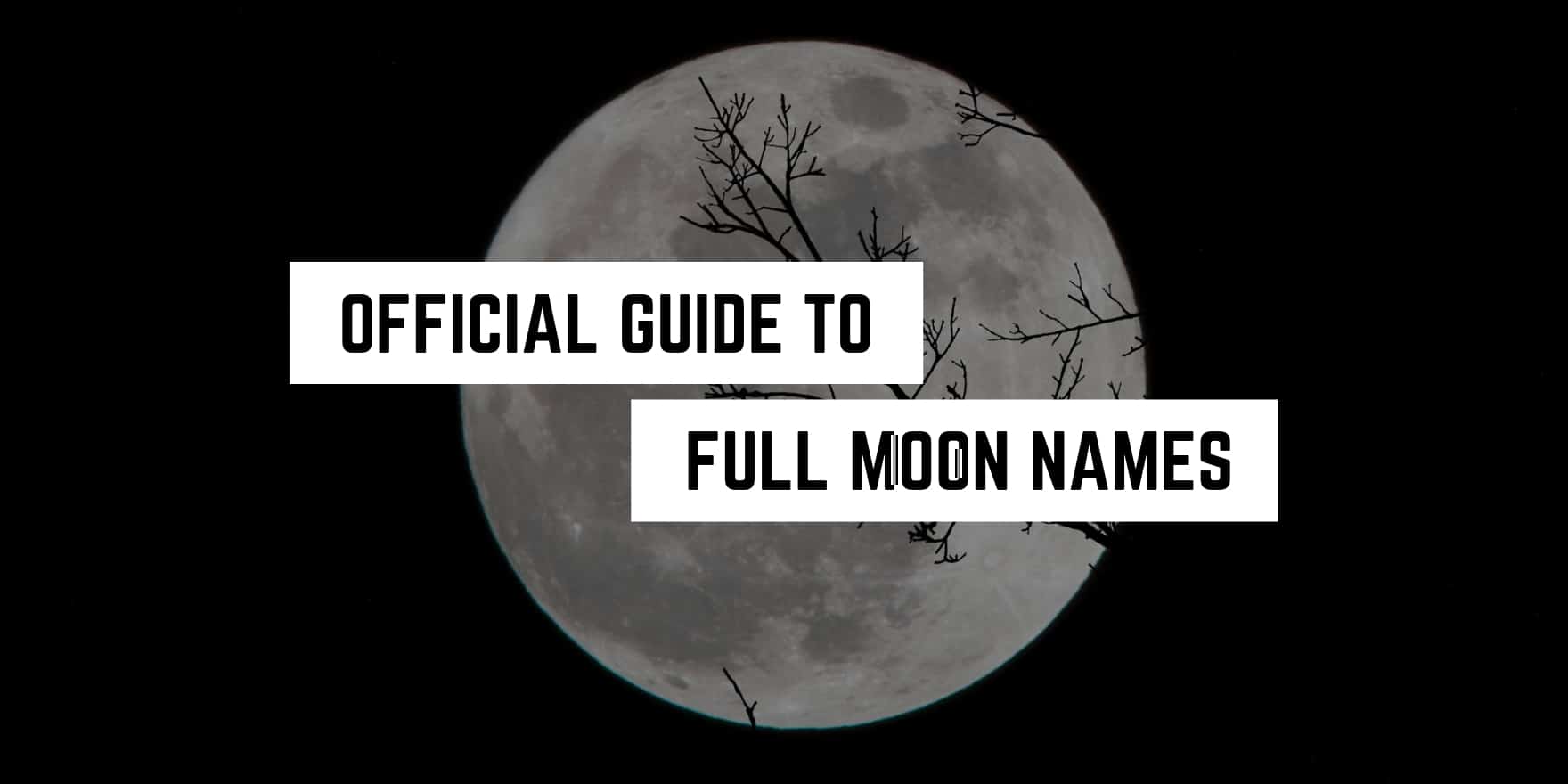 Silhouetted branches against a luminous full moon: exploring the origins and meanings behind traditional full moon names through a spiritual lens.