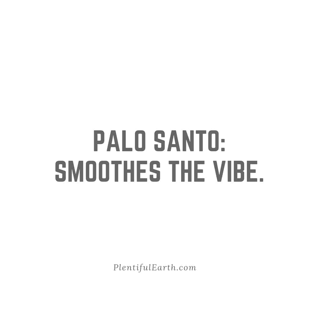 A minimalist image with a simple statement on a white background, promoting the calming qualities of palo santo by saying "smoothes the vibe," available at our metaphysical shop.