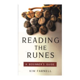Reading the Runes, A Beginner's Guide by Kim Farnell