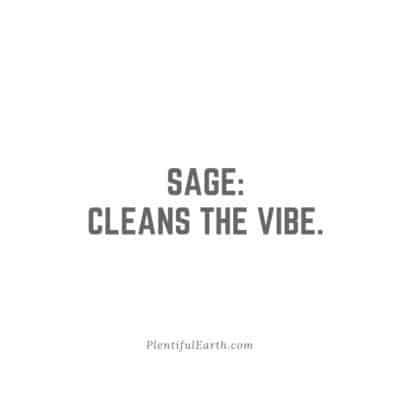 sage cleanses the vibes cleans witch tip