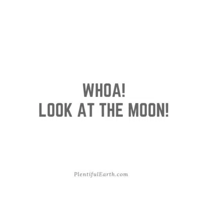 An expression of surprise and admiration for the celestial spectacle, inviting others to gaze upon the moon's beauty with a witchy enchantment.