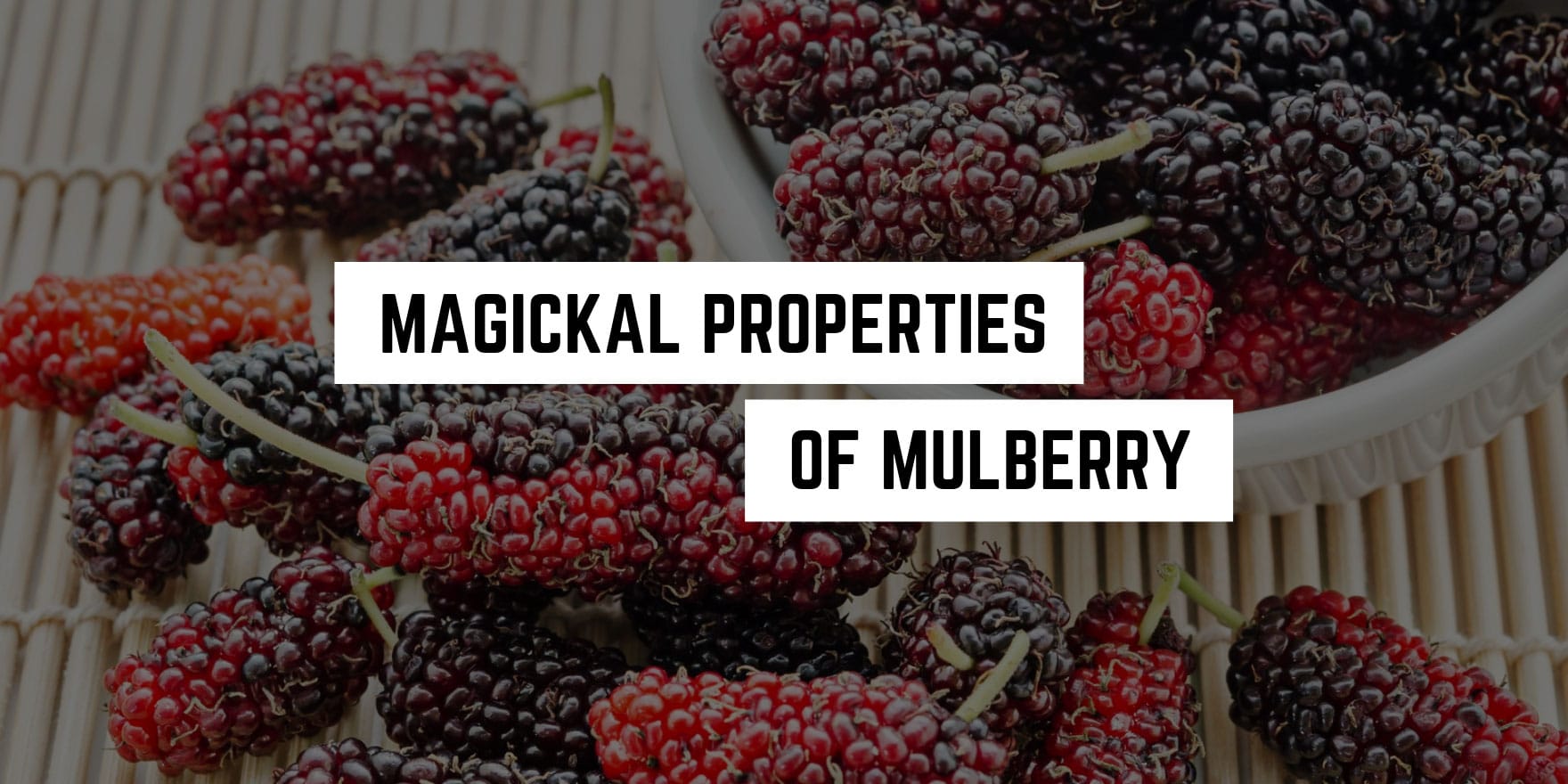 A spread of ripe and unripe mulberries with text overlay highlighting "occult properties of mulberry.