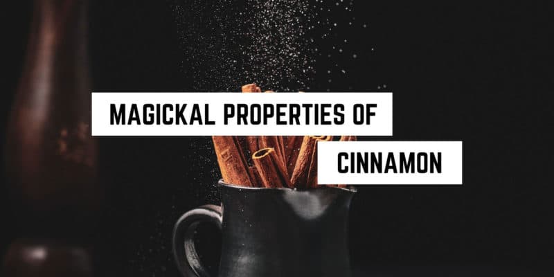 Magical Properties of Cinnamon | Materia Magicka 8 Cinnamon sticks casting a spell with their aromatic dust in a mystic, occult kitchen atmosphere.