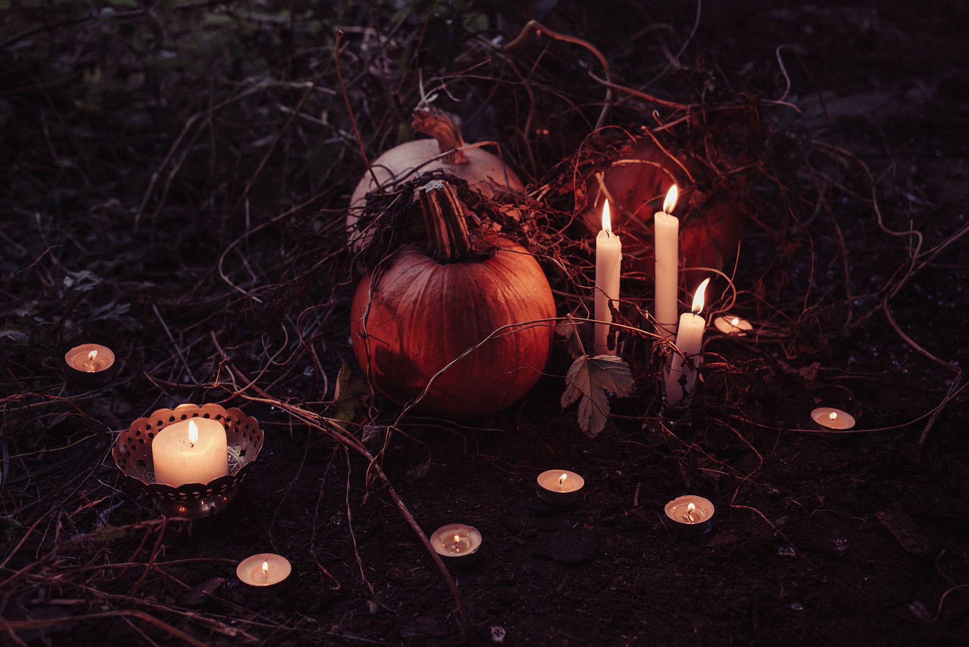 An atmospheric autumnal scene with pumpkins and flickering candles amidst tangled vines, creating a spooky and enchanting mood, perfect for a metaphysical shop display.