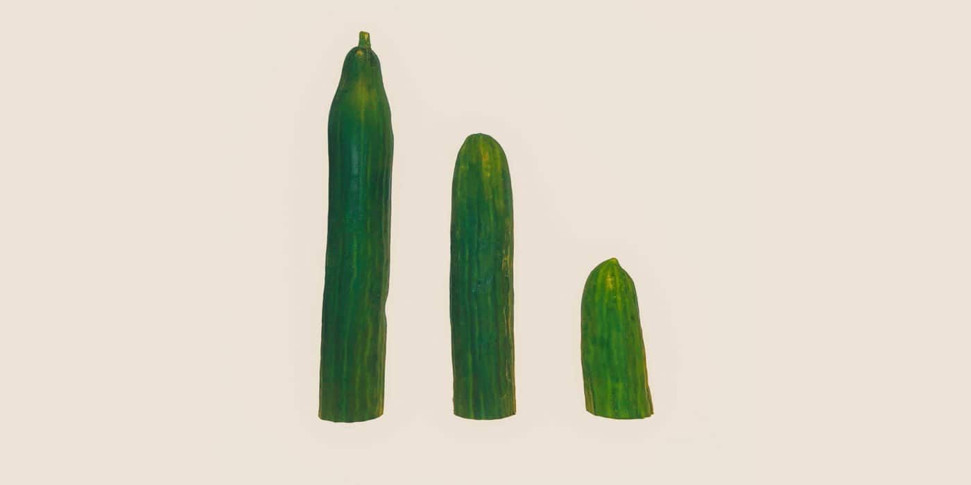 Three different-sized cucumbers aligned from tallest to shortest on a light background, arranged as part of a new age product display.