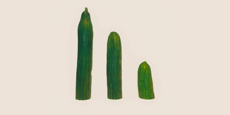 Magical Properties of Cucumber | Materia Magicka 4 Three different-sized cucumbers aligned from tallest to shortest on a light background, arranged as part of a new age product display.