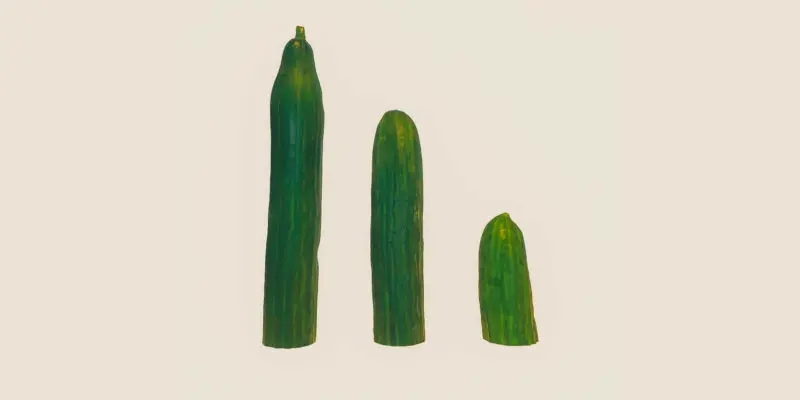 Three different-sized cucumbers aligned from tallest to shortest on a light background, arranged as part of a new age product display.