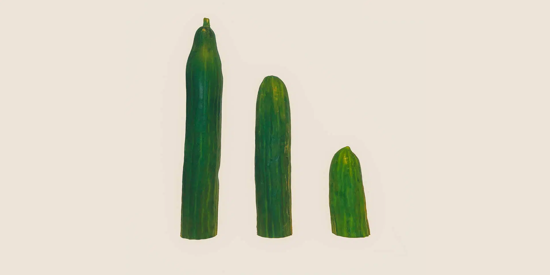 Three different-sized cucumbers aligned from tallest to shortest on a light background, arranged as part of a new age product display.