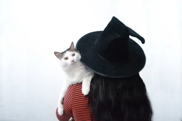 A person in a striped shirt and a black hat holding a white cat over their shoulder against a white background, exuding an occult ambiance.