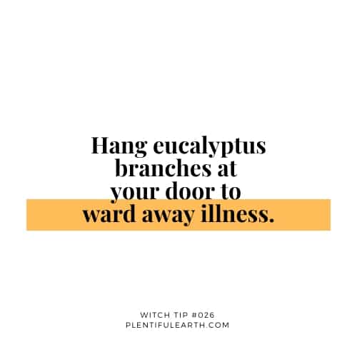 Inspirational tip recommending a new age product: "hang eucalyptus branches at your door to ward away illness.