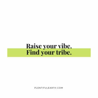 raise your vibe find your tribe