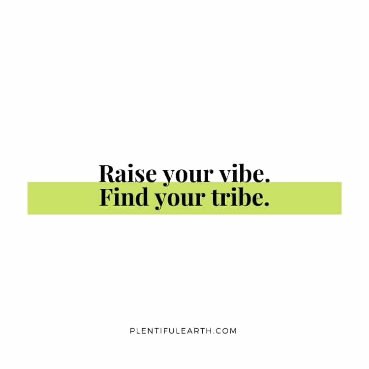 Motivational quote on a simple background: "Raise your vibe. Find your spiritual tribe." - plentifulearth.com.