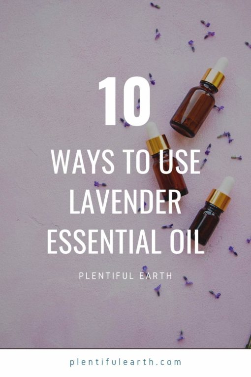 10 Ways To Use Lavender Essential Oil