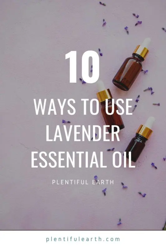 10 Ways to use Lavender Essential Oil 2 An image to share on Pinterest