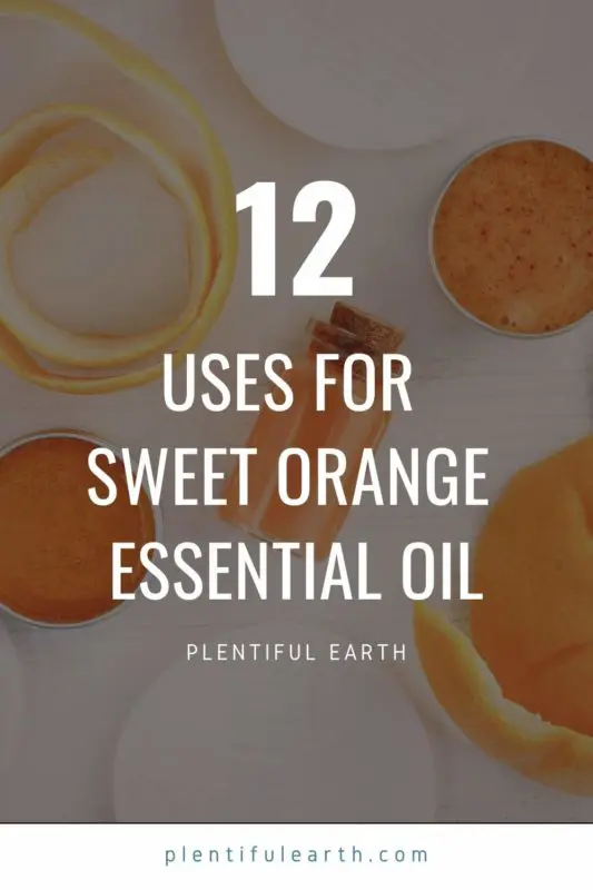 12 Uses for Sweet Orange Essential Oil 2 Sweet orange essential oil image to share on pinterest