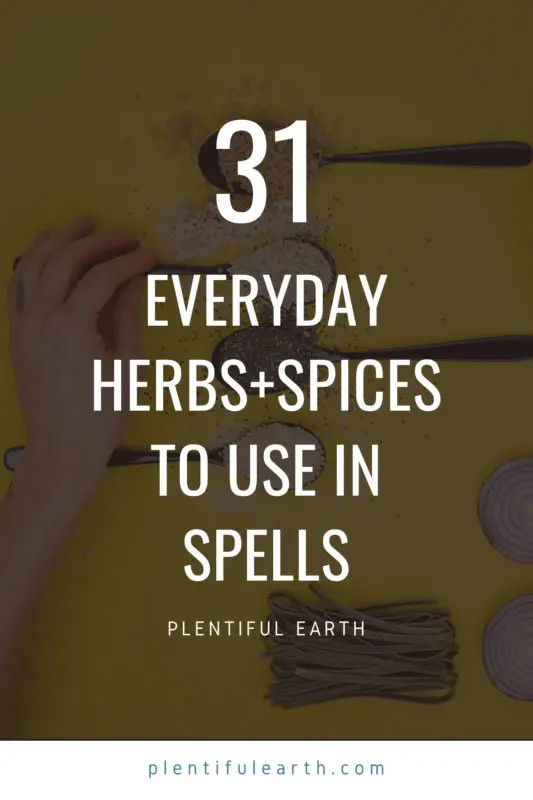 31 Everyday Herbs and Spices that You can use in Spells 2 A graphic to share on Pinterest that reads "31 Everyday Herbs and Spices to use in spells". The text is on top of a yellow background with kitchen spices.
