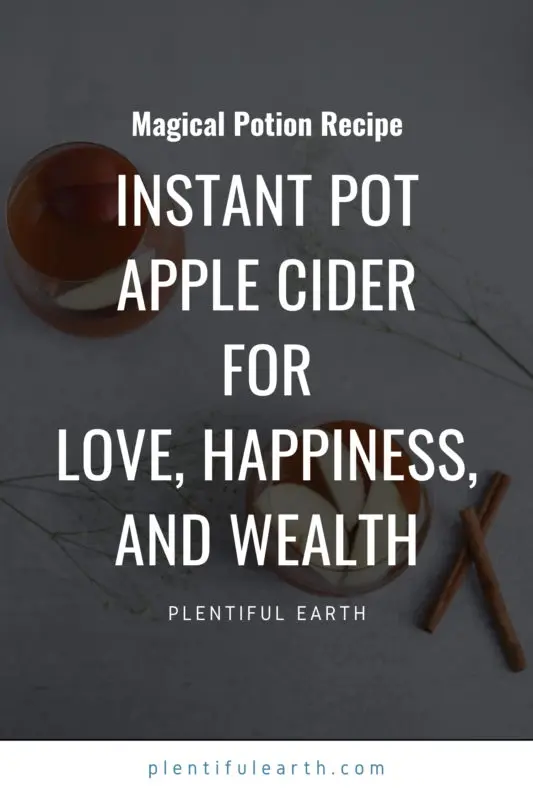 Instant Pot Apple Cider Recipe 2 instant pot apple cider magical recipe kitchen witchcraft