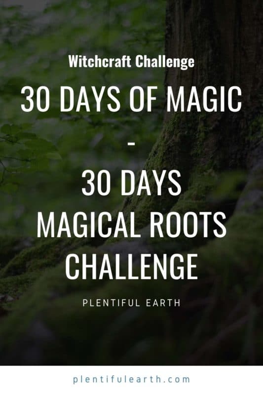 an image to share on pinterest.
