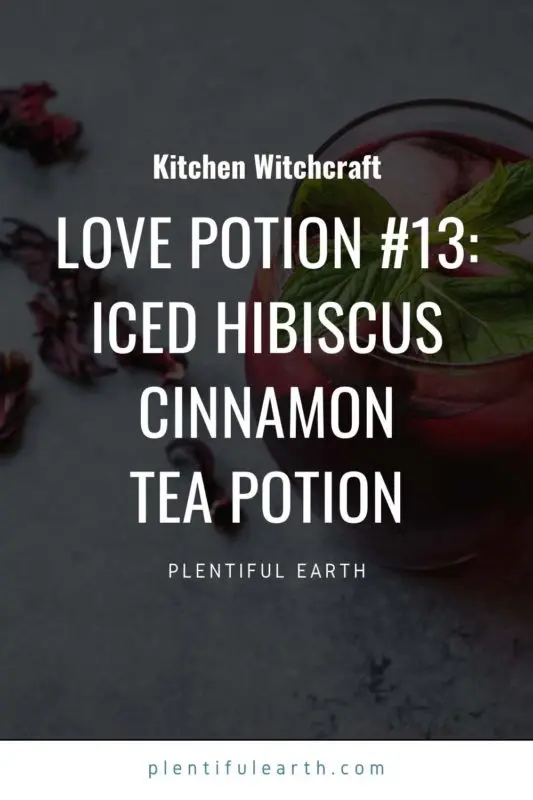 Love Potion #13: Iced Hibiscus Cinnamon Tea Potion Magickal Recipe 2 An image for sharing this recipe on Pinterest.