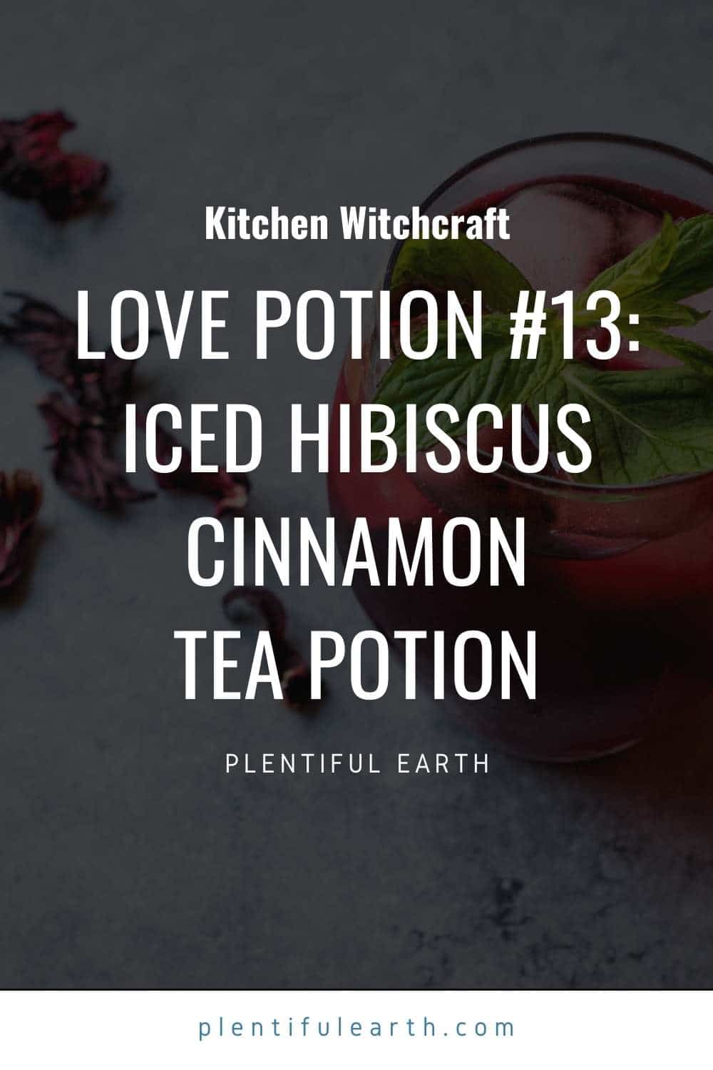 Love Potion 13 Iced Hibiscus Cinnamon Tea Potion Magickal Recipe