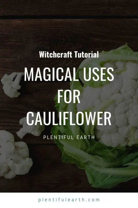 Magickal Correspondences of Cauliflower | Cauliflower Materia Magicka 2 An image for sharing on Pinterest