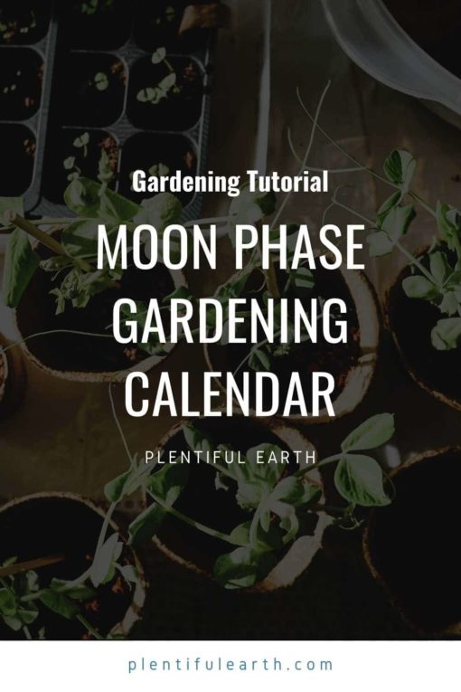 Moon Phase Gardening A Calendar