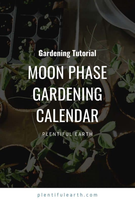 Moon Phase Gardening A Calendar Plentiful Earth