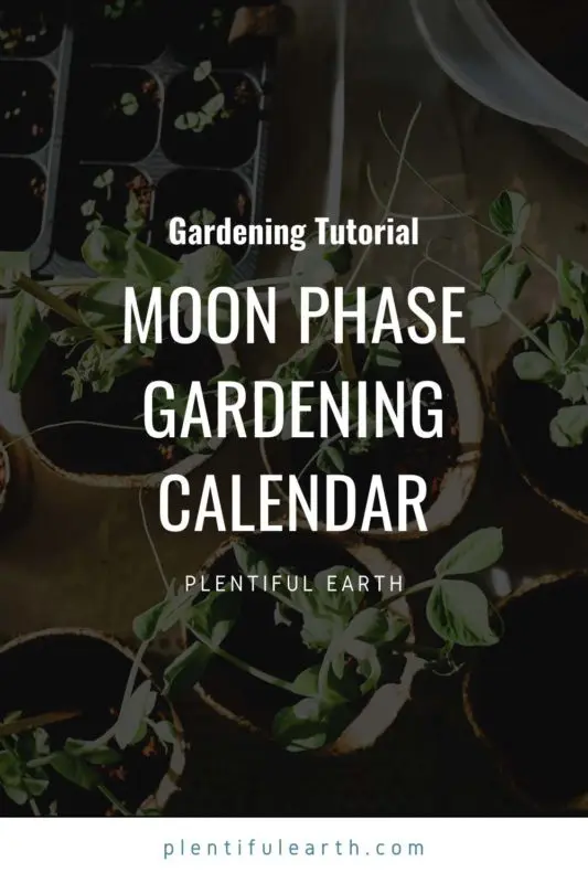 Moon Phase Gardening: A Calendar 2 An image to share on Pinterest
