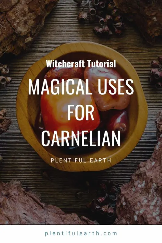 An image for Pinterest