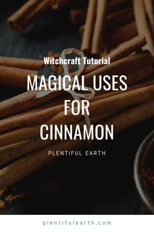 Magical Properties of Cinnamon | Materia Magicka 2 An image to share on Pinterest