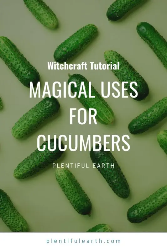 Magical Properties of Cucumber | Materia Magicka 2 magical uses for cucumber