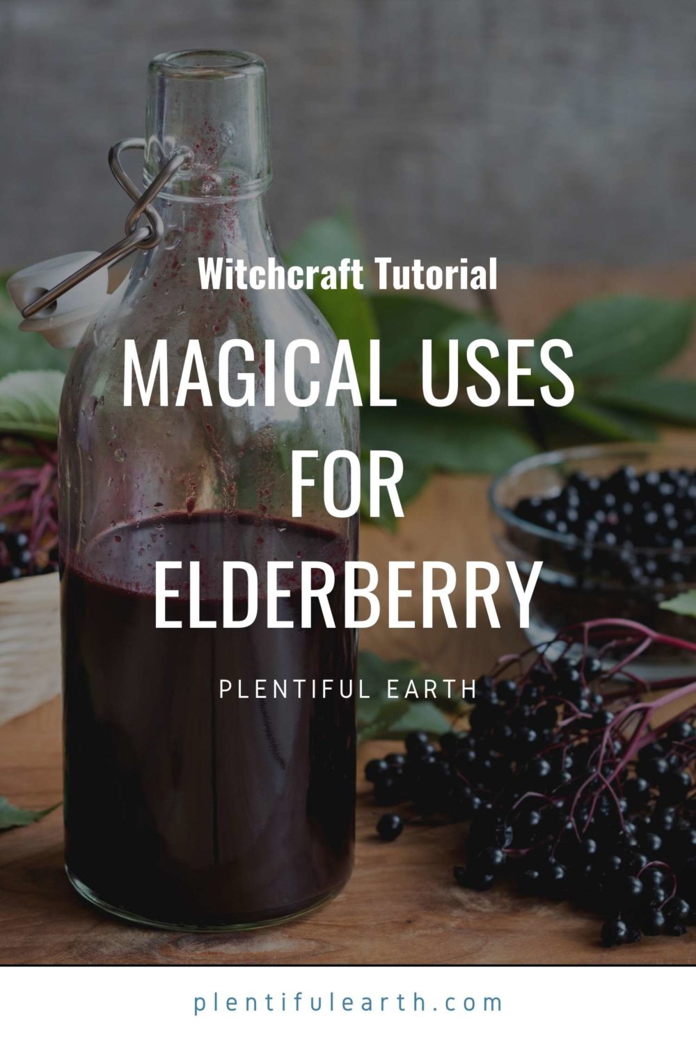 elderberry-spiritual-uses-magical-properties-in-spells-witchcraft