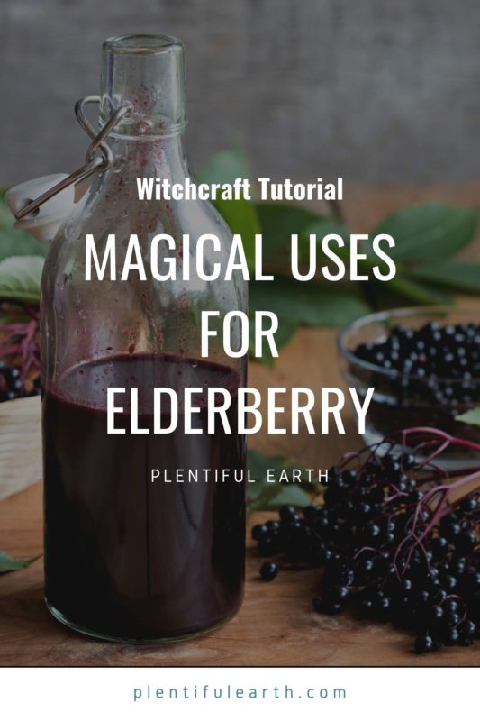 Elderberry wand Pendant
