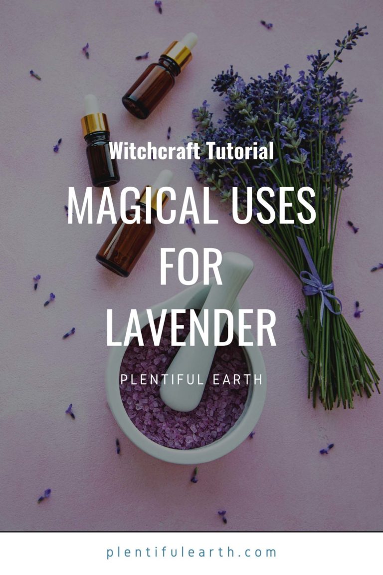 Lavender Magickal Properties Uses In Spells And Green Witchcraft 6875