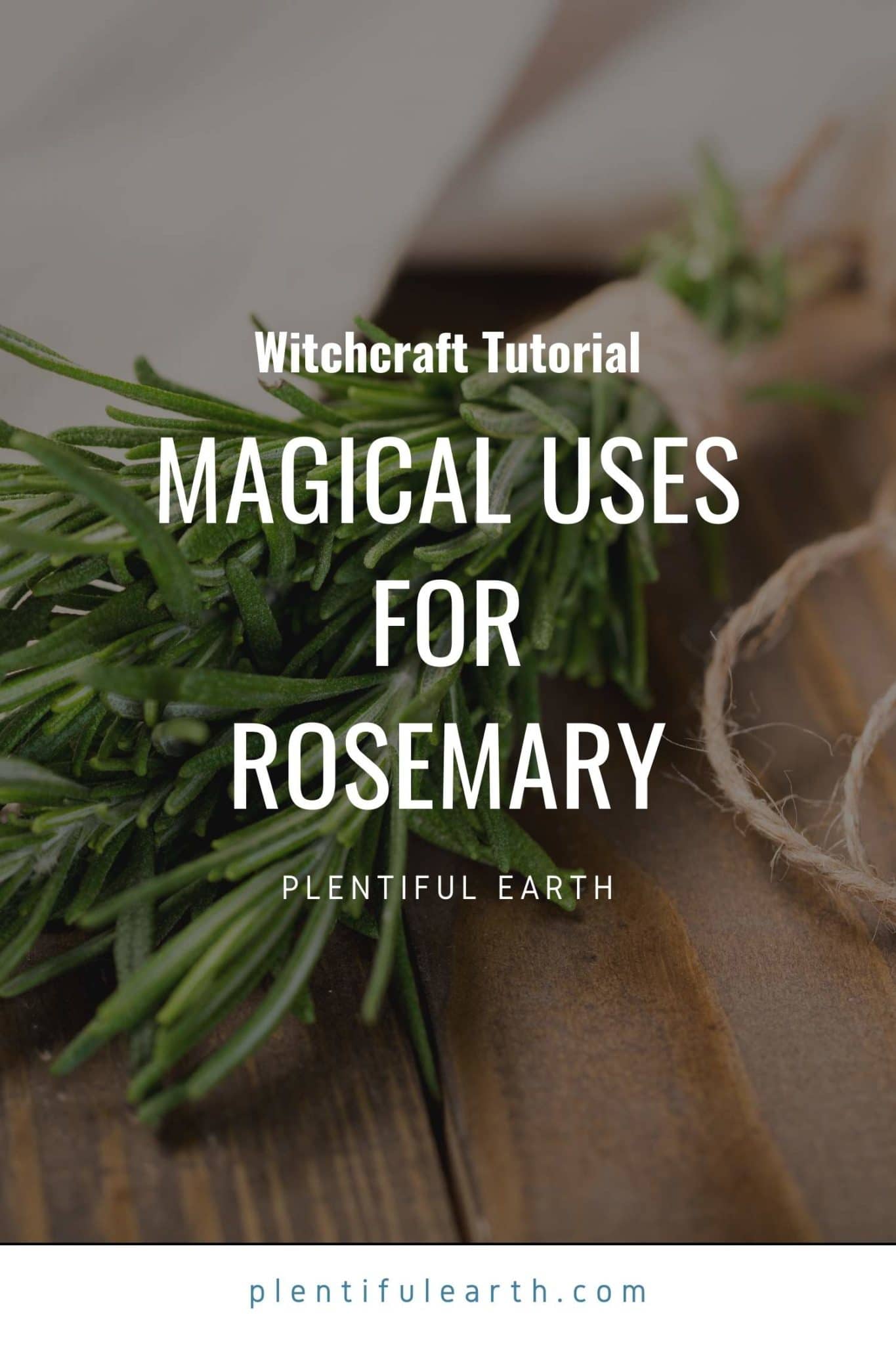 Magical Properties of Rosemary | Rosemary Materia Magicka » Plentiful Earth